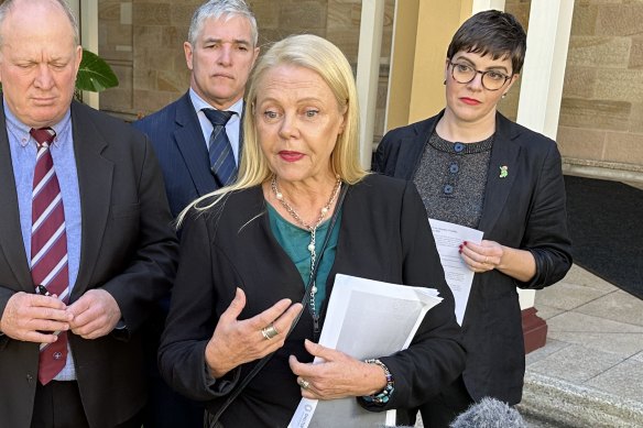 Noosa MP Sandy Bolton (centre) will chair a powerful new parliamentary select committee on youth justice – the first independent policy committee head in at least two decades.