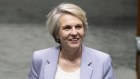 Environment Minister Tanya Plibersek said her decision to impose heritage conditions on the McPhillamys mine would not prevent it from proceeding.