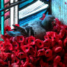Pigeon steals poppies to make its home at the Australian War Memorial
