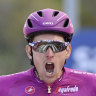 Dominant Demare claims a fourth Giro d'Italia stage victory