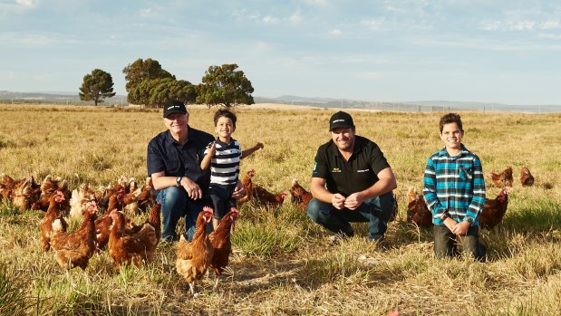 WA's biggest egg producer, Golden Eggs, is run by Peter Bell and his family, out of Gingin.