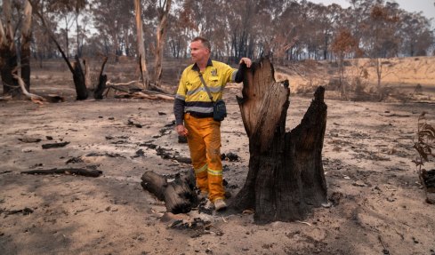 James Fitzgerald, director of the Two Thumbs Wildlife Trust inspects his bushfire-scorched koala reserve on February 4, 2020 in Peak View. Fires swept through the sanctuary, killing scores of koalas, kangaroos and other native wildlife. 