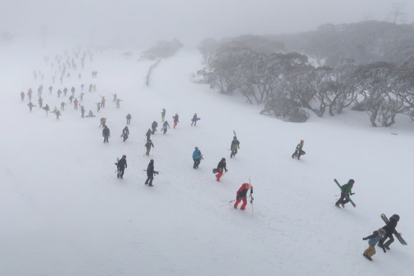 Hundreds of skiers and snowboarders walk up the mountain after a blizzard shuts down the chairlifts at the Snowy Mountains on Sunday.