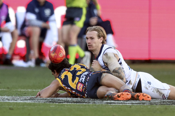 Tom Stewart was a significant presence for the Cats against the Crows.