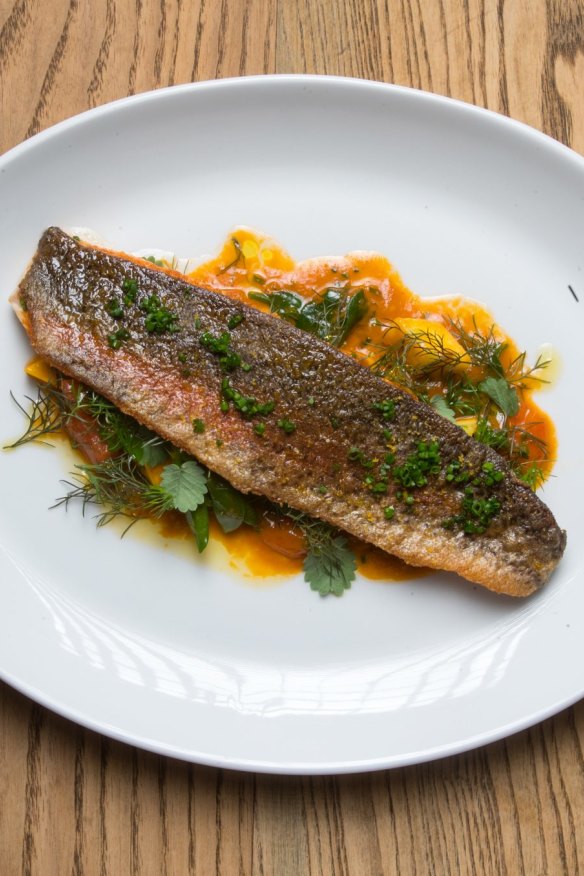 Trout, sauce vierge.