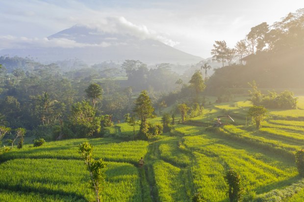 Mount Agung in the sunrise, Sidemen, Bali.