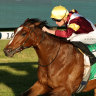 Snowdens looking to add cup to Ramornie with Touristic