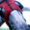 Race-by-race preview and tips for Grafton on Friday