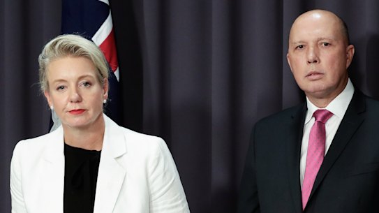 Peter Dutton and Bridget McKenzie are both accused of playing politics with public money.
