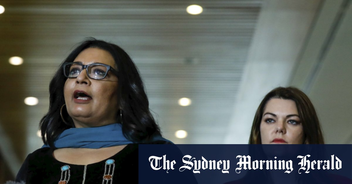Quick Q: Why leaving Sydney was the best thing for Mehreen Faruqi’s career