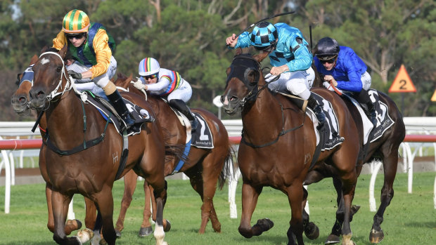 A good track is expected for the seven-race card at Warwick Farm.