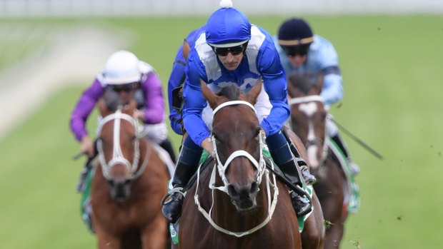 Winx is expected to be retired after Saturday's Queen Elizabeth Stakes. 