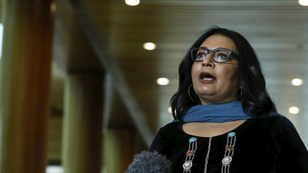 Mehreen Faruqi is hoping to get support to halt ministerial veto rights of research grants.