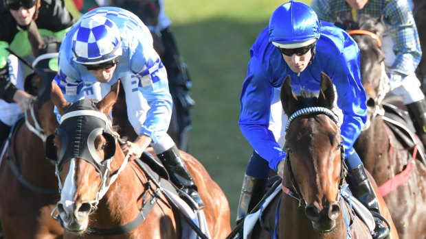 Stepping up: Oriental Runner, left, finishes second to Intuition in a benchmark 79 at Randwick on August 4.