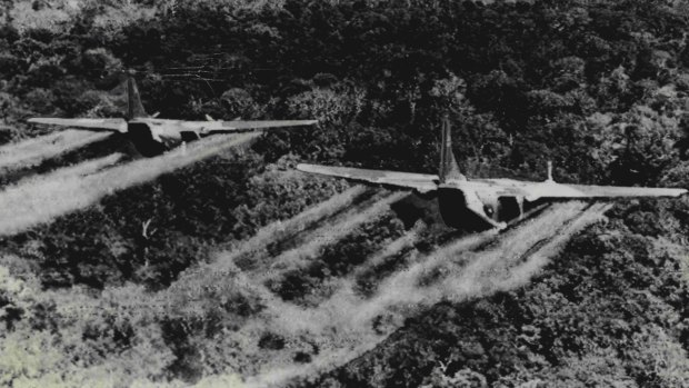 Two US Airforce C-123's fly low over heavy jungle spraying the canopy with defoliation liquid to defoliate Viet Cong base areas, crops and communication routes circa 1966.