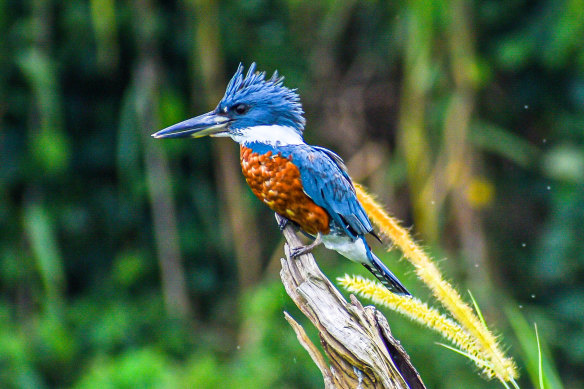 The area has long been a conservation haven.