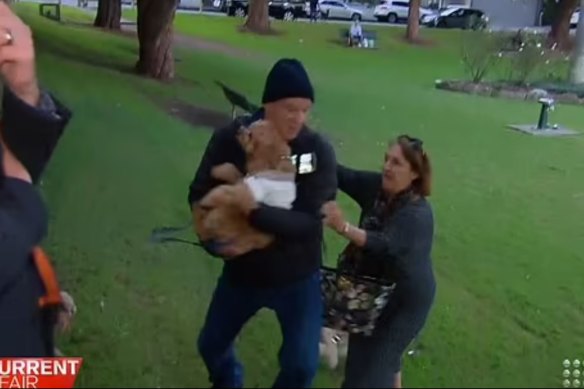 Mark Gillespie grabs Oscar the cavoodle at a Sydney park, in a screengrab from A Current Affair.