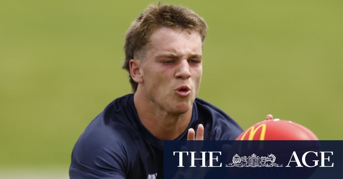 AFL draft 2024 Why Richmond Tigers might not trade for North Melbourne
