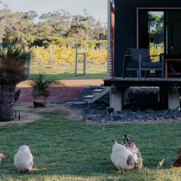 Barn Hives in Yallingup is an ideal base for exploring the Margaret River region’s food and wine scene.