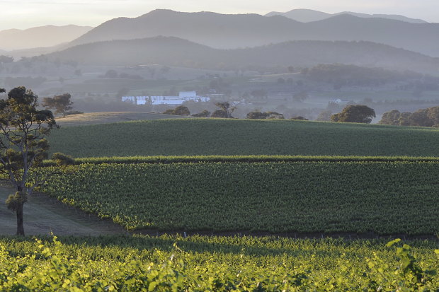 Robert Oatley Vineyards in Mudgee.