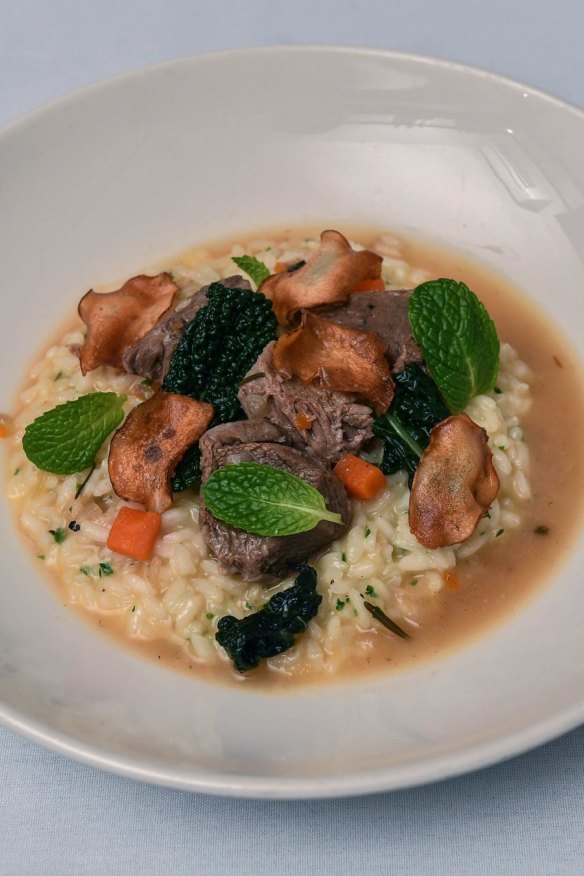 Lamb abaccio.