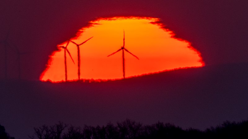 Workers want company climate action — but don’t believe the hype