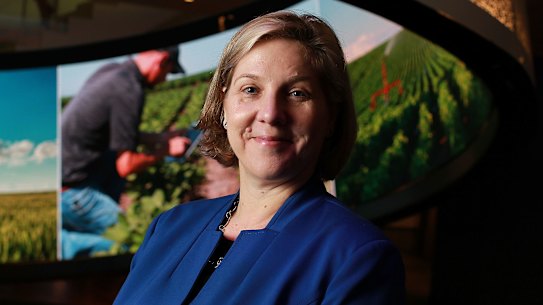 Robyn Denholm resigned as Telstra's chief financial officer to take the chair at Tesla. 