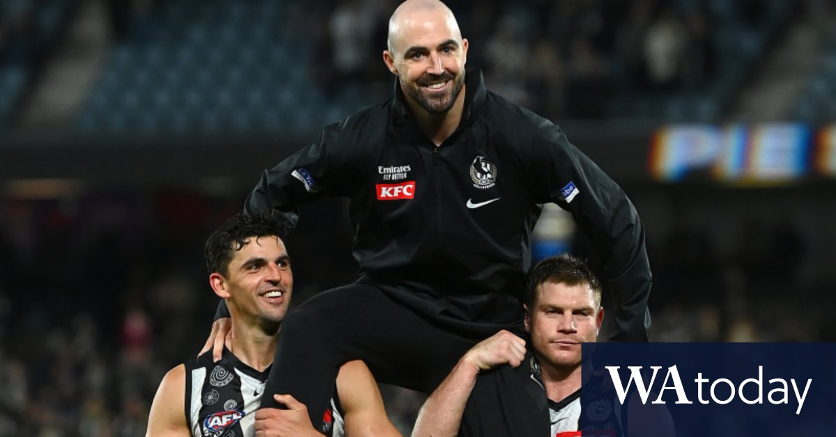 Steele Sidebottom subbed out of game 300 with knee injury as Collingwood Magpies prove too good for North Melbourne Kangaroos, Adelaide Crows sink Brisbane Lions