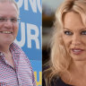 Scott Morrison probably regrets his comments about Pamela Anderson: Kelly O'Dwyer