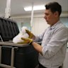 The hail library at the University of Queensland collects and researches hail stones.
