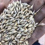 China is considering two separate tariffs of 73.6 per cent and 6.9 per cent on Australian barley.