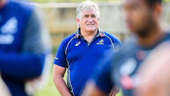 Scott Johnson will not continue as director of rugby. 