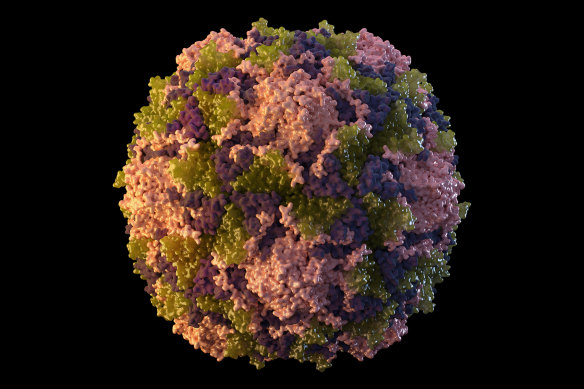 A polio virus particle.