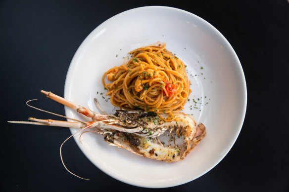 Scampi spaghettini at Fratelli Paradiso.
