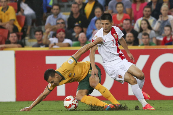 Suncorp Stadium’s substandard pitch was widely criticised during the AFC Asian Cup in 2015.