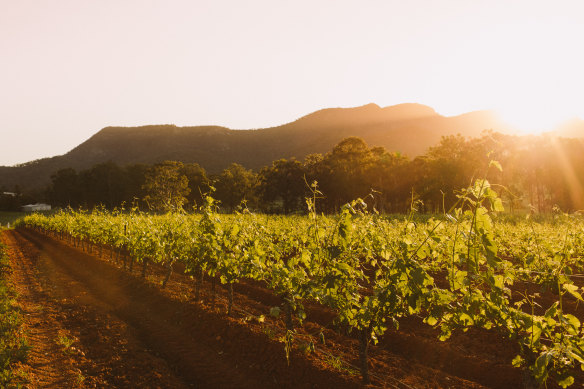 Tyrrell’s in the Hunter Valley.