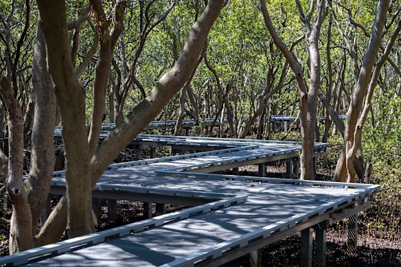 Badu Mangroves. 