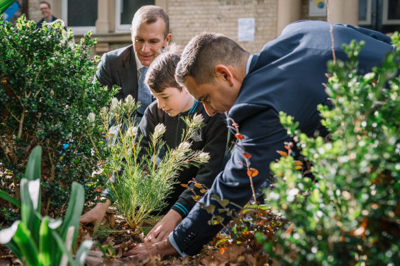 Planning Minister Rob Stokes (left), local MP Alex Greenwich (right), and students of Bourke St Public School at a tree planting ceremony.
