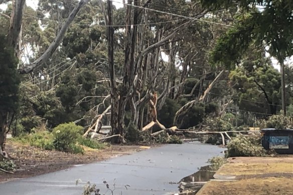 Last Tuesday’s storms cut power to more than half a million Victorian homes.