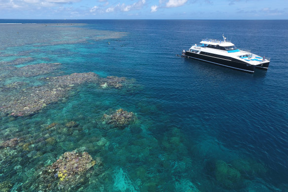 Some Great Barrier Reef tours are running at 5 per cent capacity. 