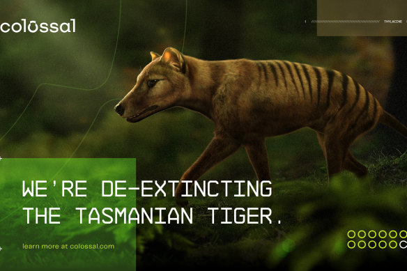 Colossal Biosciences advertisement for the thylacine project.