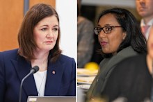 Liberal senator Sarah Henderson and Labor’s Michelle Ananda-Rajah clashed during a late-night estimates hearing. 