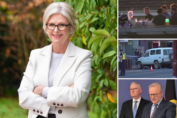 Helen Haines attack: Brendan Nugent charged with multiple offences over  attack on independent MP in Wangaratta