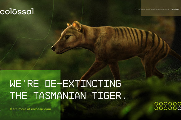 “De-extinction” startup Colossal Biosciences is seeking to revive the woolly mammoth along with the Tasmanian tiger and other long-gone species.