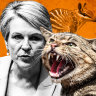 Minister’s cat curfew a vital step to saving native species