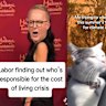 TikTok videos by (from left) Liberals, Greens and Labor.
