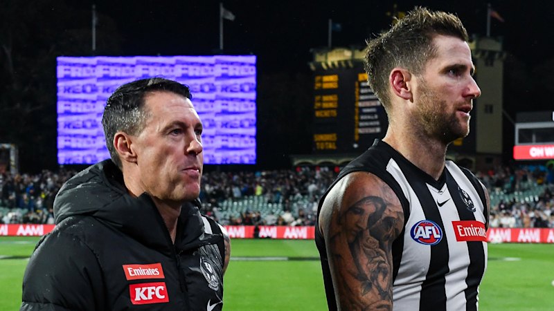 How undersized Collingwood backline became the team’s most reliable unit