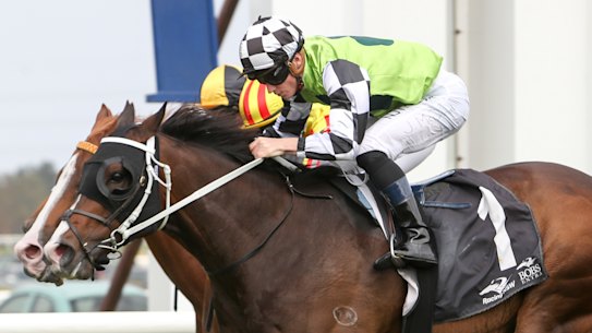 Mister Sea Wolf takes out The Gong at Kembla Grange on Saturday