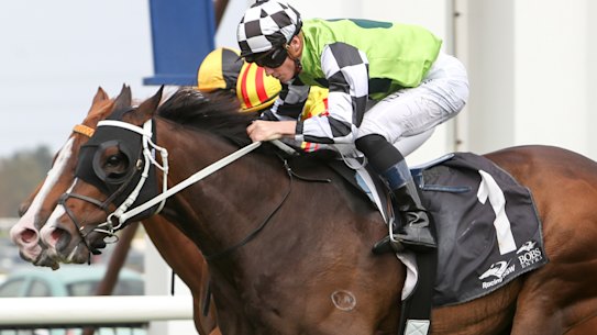 Mister Sea Wolf  just shades Quackerjack The Gong. 