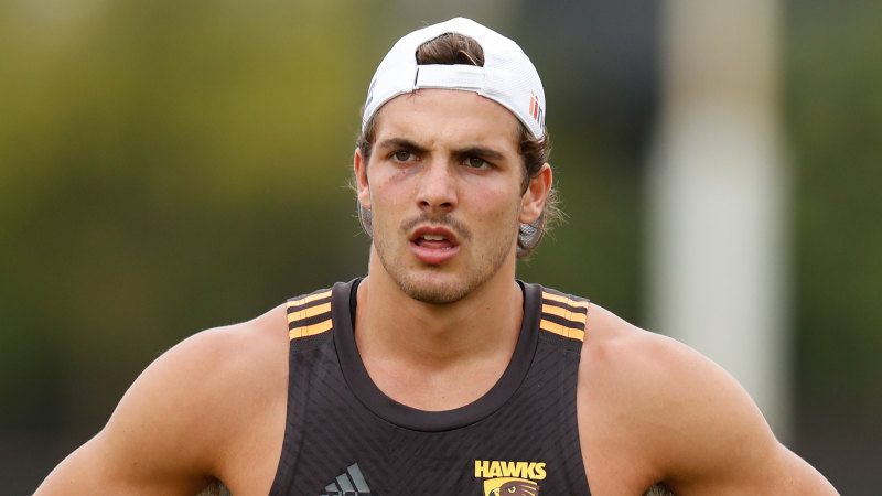 AFL 2022: Hawthorn Hawks player, Carlton Blues AFLW program member test  positive for COVID-19